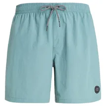 Protest Badeshorts Faster Arctic Green L