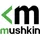 Mushkin Element 2 TB, M.2 2000 MB/s