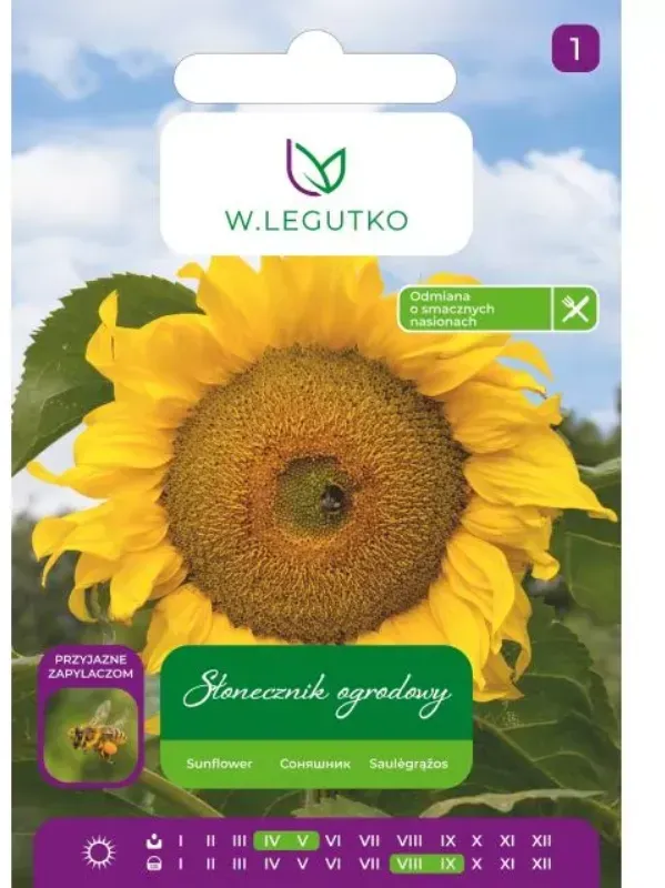 Garten-Sonnenblume, gestreifte Samen