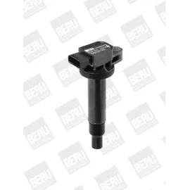 BorgWarner (Beru) Zündspule