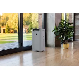 Sharp UA-HG50E-L hellgrau