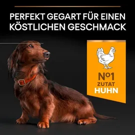 Purina Small & Mini Adult 9+ Age Defence Huhn 2 x 3 kg