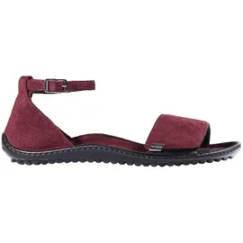 Leguano Jara bordeaux 42