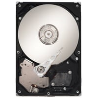 Seagate ST31000640SS 1TB SAS 3.5 7.2K 3G ST31000640SS