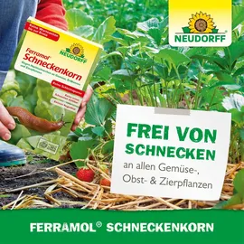 NEUDORFF Ferramol Schneckenkorn 500 g