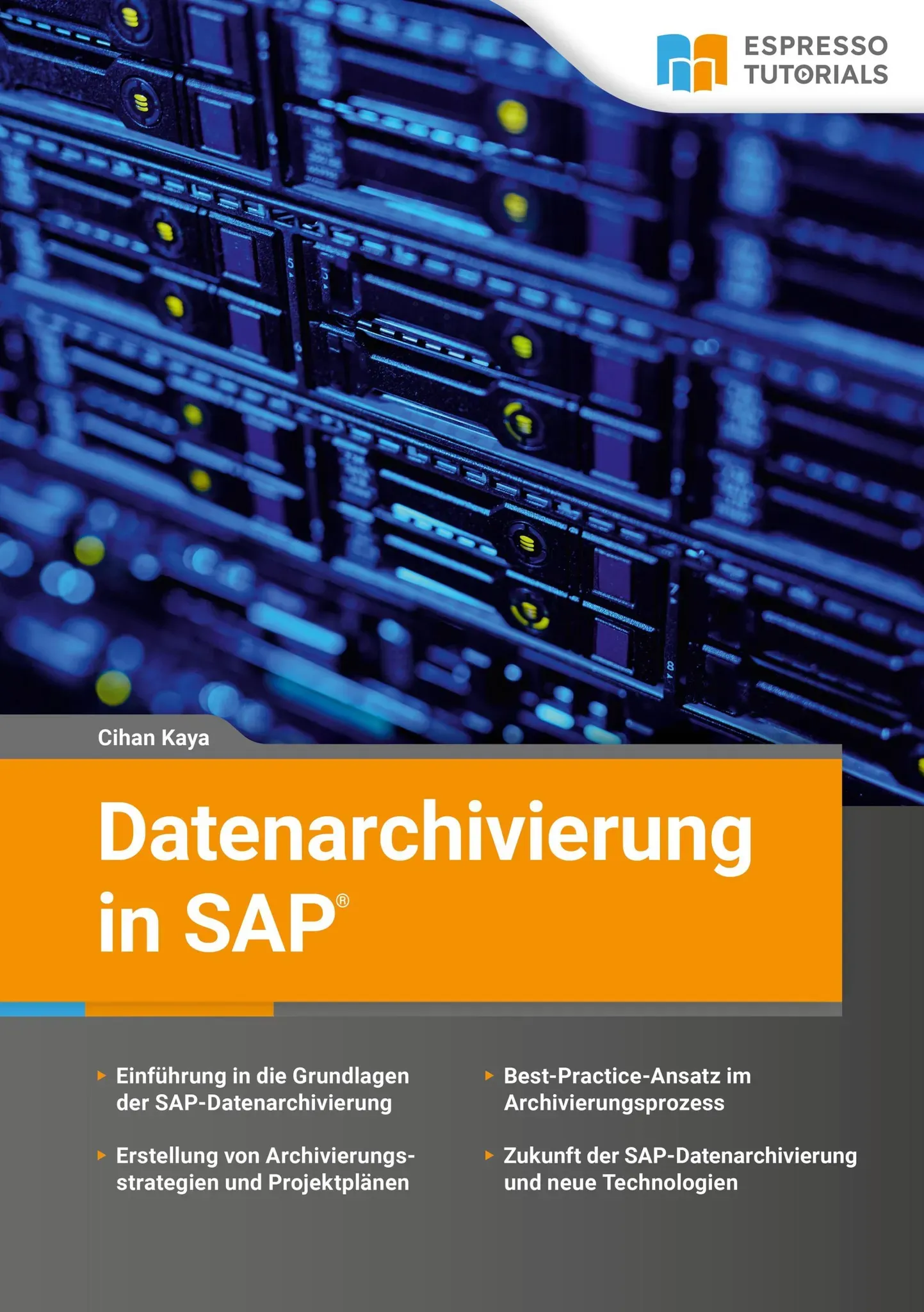 Datenarchivierung In Sap - Cihan Kaya  Taschenbuch