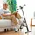 InnovaGoods Rollekal schwarz