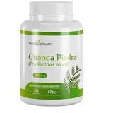 VitaSanum® - Chanca Piedra 500 mg 100 Kapseln