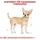 Royal Canin Chihuahua Adult 3 kg