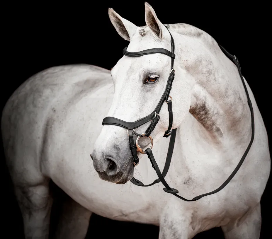 Horseware Micklem II Competition Bridle mit Zügel, großes Warmblut