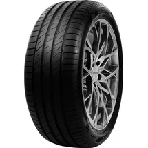 Delinte DS2 225/55 R18 102W