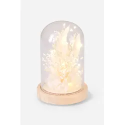 bonprix LED-Deko-Objekt mit Gräsern, beige, 17 cm
