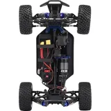 Reely Buggy Raptor RTR RE-5064051