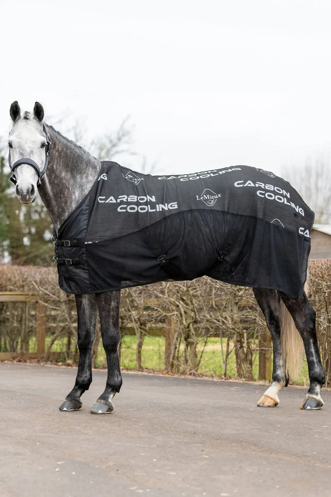 LeMieux Carbon Abschwitzdecke