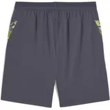 Puma individualCUP Shorts S