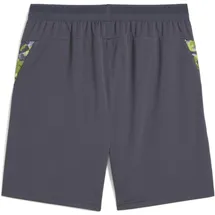 Puma individualCUP Shorts S
