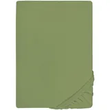 biberna Spannbettlaken Jersey-Elasthan 120 x 200 - 130 x 220 cm grün