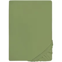 biberna Spannbettlaken Jersey-Elasthan 120 x 200 - 130 x 220 cm grün