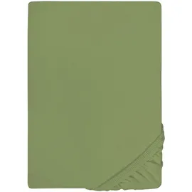 biberna Spannbettlaken Jersey-Elasthan 120 x 200 - 130 x 220 cm grün