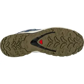 Salomon XA Pro 3D V9 GTX Herren Dark Blue/Icicle/Aloe 44