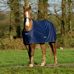 Bucas Shamrock Power PONY - navy/silver, 105