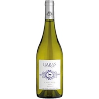 Chardonnay Jg. 2022 uChile Valle del Maipo Haras de Pirqueu