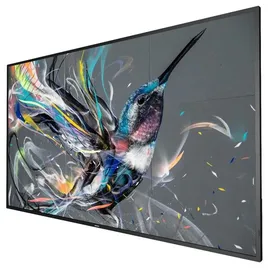 Philips Q-Line 65BDL3511Q/00 55"