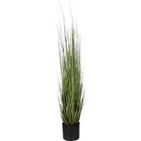 Mica decorations Mica Dogtail Gras grün in Topf 115