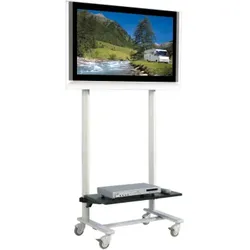 TV Wagen, TV Rack für Fernseher bis 50 Zoll mit 1 Ablage