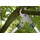 Gardena Astschere EnergyCut 750 B Bypass