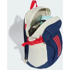 adidas APWR Blau