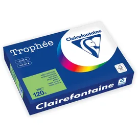Clairefontaine Kopierpapier Trophée maigrün DIN A4 120 g/qm 250 Blatt
