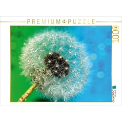 CALVENDO Puzzle CALVENDO Puzzle Pusteblume mit Tautropfen 1000 Teile Lege-Größe 64 x 48 cm Foto-Puzzle Bild von Heike Hultsch, 1000 Puzzleteile