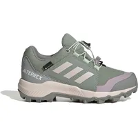 Adidas Terrex GTX Silver Green / Putty Mauve /