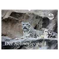 Calvendo Der Schneeleopard (Wandkalender 2026 DIN A3 quer), CALVENDO