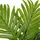 Mica decorations Mica Kunstpflanze Areca Palme Grün Topf 45 x 60 cm