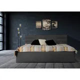 Halmon Schlafkomfort Betten Madera 180 x 200 cm H2 Anthrazit