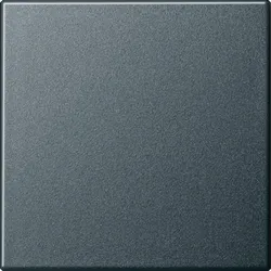 Gira Wippe Schalter anthrazit System 55 029628