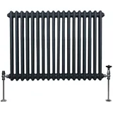 MonsterShop Traditioneller 2-Spalten-Heizkörper 600 x 832 mm grau