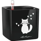 LECHUZA Cube Glossy Cat 14 cm x 14 cm x 14 cm Schwarz