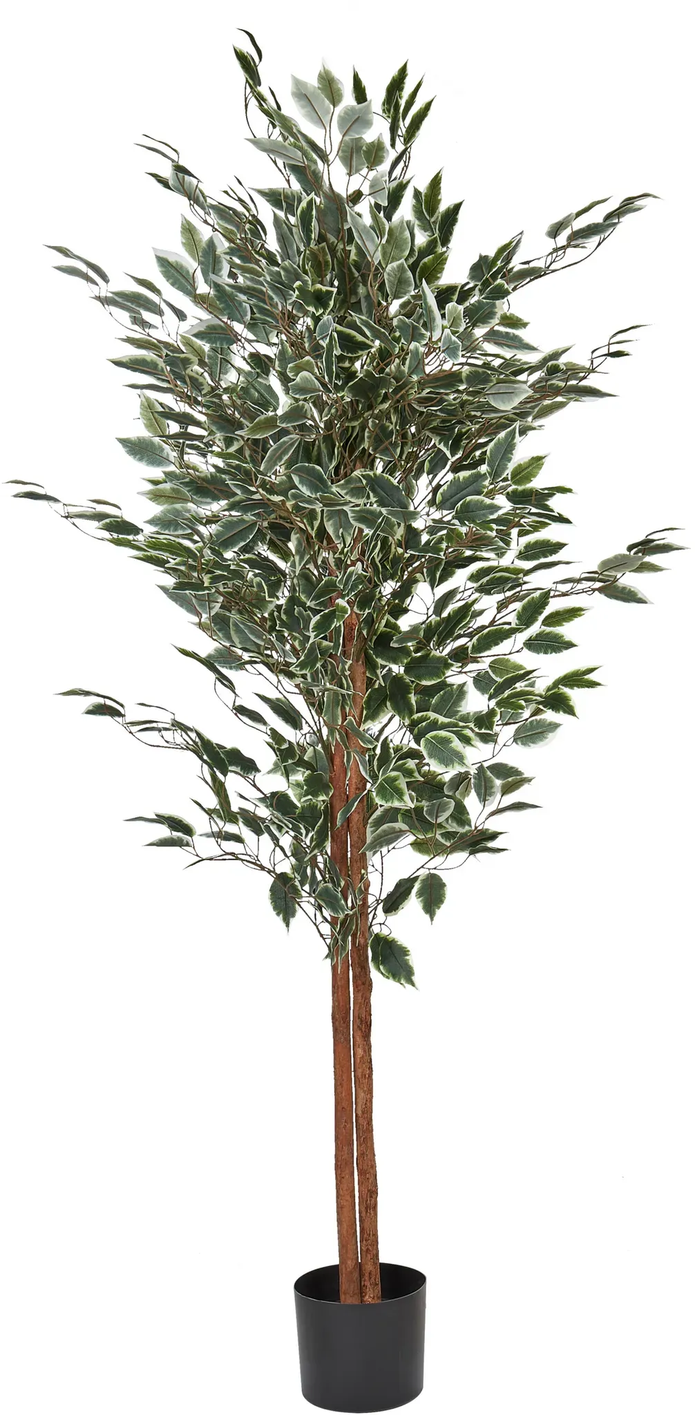 Kunstpflanze FICUS 167 cm