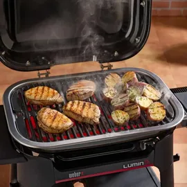 Weber LUMIN Elektrogrill mit Stand 2026 schwarz