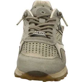 CETTI Sneaker Low Herren Grün 43