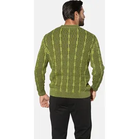 Jan Vanderstorm Pullover AKSELHEIM grün- 76/78