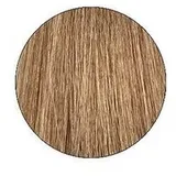 LISAP LK OPC Creamcolor 8/0 hellblond 100 ml