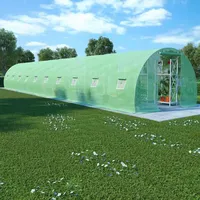 vidaXL Gewächshaus Treibhaus Garten Tomatenhaus Foilen Pflanzenhaus Polytunnel