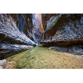 Fujifilm XF 8mm f/3,5 R WR