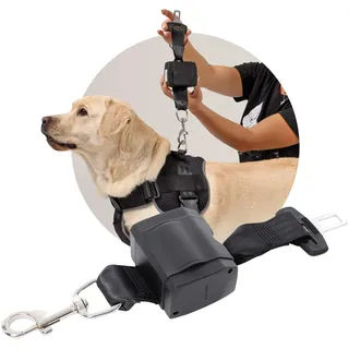 Automatik Sicherheitsgurt für Hunde im Auto - ausziehbar - aus Deutscher Produktion / Anschnallgurt Hund Auto für mittlere und große Hunde / Hundegurt mit drehbarem Edelstahl Karabiner