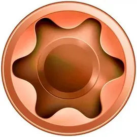 SPAX Terrassenschrauben T-STAR plus, Zylinderkopf, Fixiergewinde, CUT-Spitze, antik,