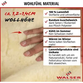 Walser 20011